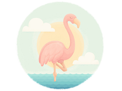 Flamingo blue clouds flamingo sea sun