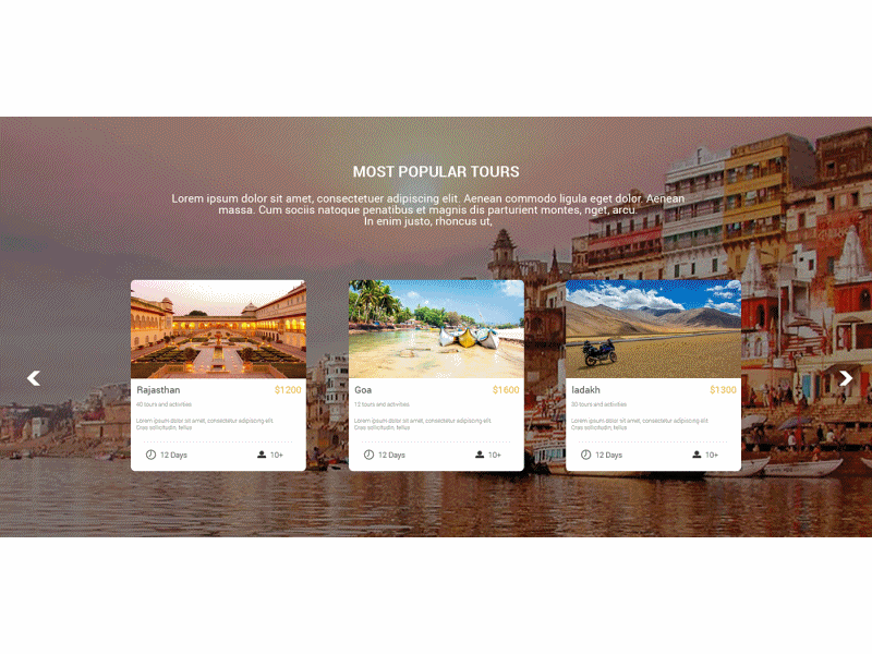 Travel web Site design graphic design uiux web design