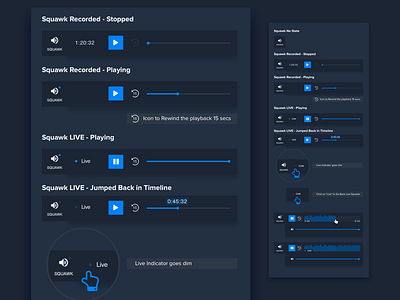 Squawk Player Controls Documentation audio blue docs finance fintech playback player specs stream streaming styleguide video