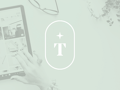 TDZ Creative Partners brand design brand design branding icon logo logo design visual identity