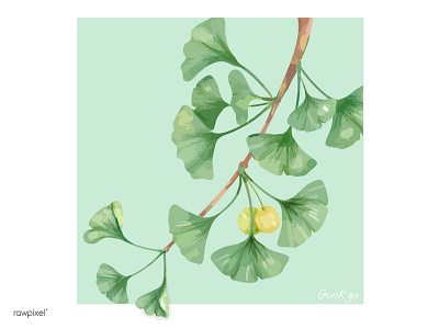 Ginkgo digital painting ginkgo green illustration japan leaves nature