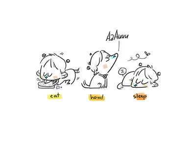 Doge's Life Cycle cartoon character design doodle drawing illustration