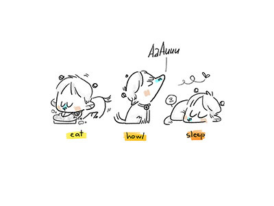 Doge's Life Cycle cartoon character design doodle drawing illustration