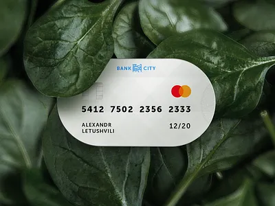 New credit card vision bank card city clean credit form interface master pay payment shop