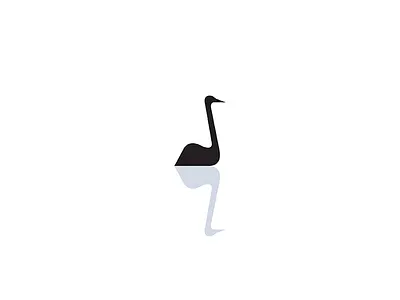 Black Swan | Transmutation bird black minimal reflection swan water white