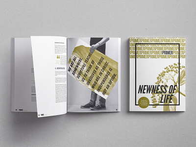 newness of life journal magazine primer print spot color spot colour theology