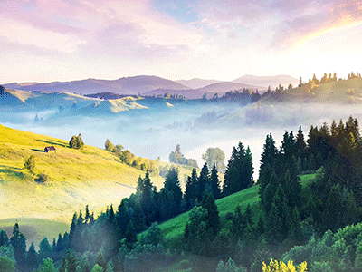Danone landscape design interface landscape motion ui web