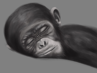 Chimpsketch