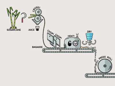 Sugarcane to paper illustration infographics process sugarcane