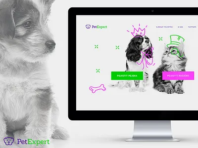 PetExpert animal care corporate identity illustration motion pet insurance pet lovers ui ux