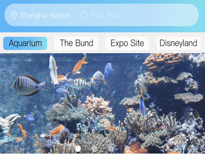 package tour and tour groups. shanghai tourist attractions