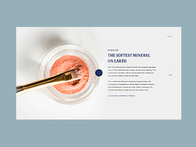 Data transition animation data scroll type website