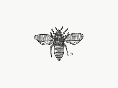 Etch-a-Sketch 5 bee drawing etching illustration insect sketch