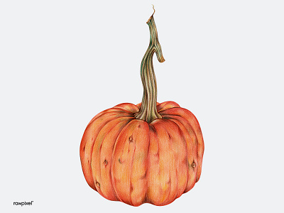 Prepare for Halloween ? colorpencil drawing graphic illustration tropical vintageillustration