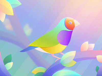 Rainbow Finch australia bird birds cute finch gradient illustration instagram nature pretty rainbow vector