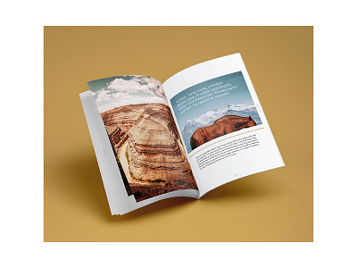 85for85 Book activism art bears ears book design grand staircase escalante illustration landscape layout public lands