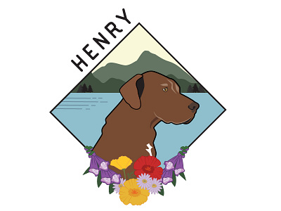 Henry dog lake mountains pnw