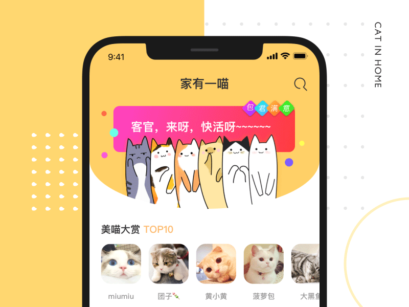 Cat Blog cat interface ui