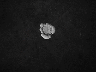 Providence City FC - Match Day Animation 2d animation design football logo soccer vfx