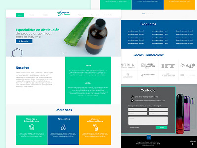 Business and Partnerships WebSite branding chemical design guatemala icons landing ui ux website