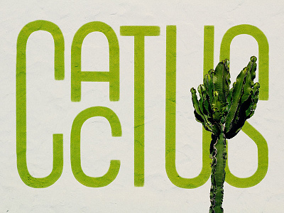 Cactus apple pencil cactus lettering procreate type typography