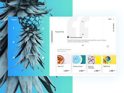 Tropical fruits booking design hotel luxury modern paradise resort tropical ui ux web