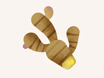 The Greenery | Ginger food ginger illustration spices textures vegetables