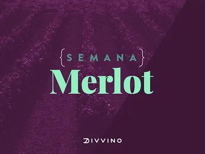Semana Merlot divvino.com.br bebidas e commerce merlot semana vinho week wine