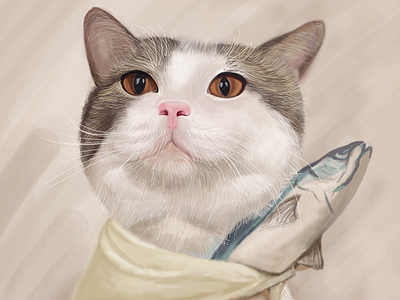 cat cat