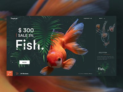 Tropical Slider color fresh interaction simple tropical ui ux