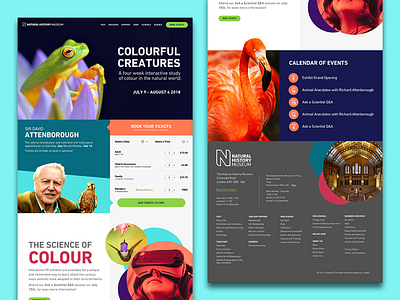 Natural History Museum Landing Page design ui