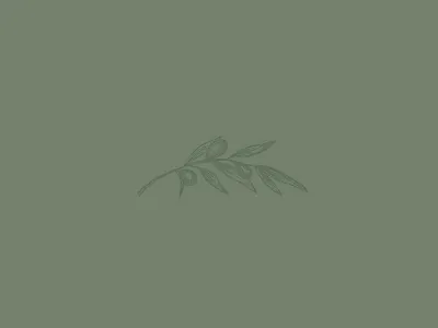 Olive Branch branch illustration leaf nature olive vintage woodcut