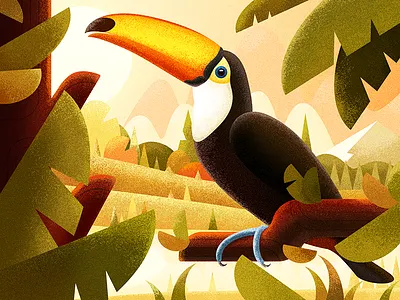 Ramphastos toco animal cute illustration pet ramphastos sunshin toco tree