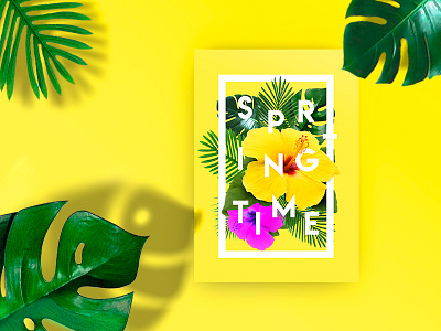 SpringTime 2d behance colours minimal poster print spring tropical typography ui uiux ux