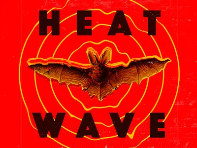 Bat Sh!t Hot advertising bat collage design editorial graphic design hot illustration