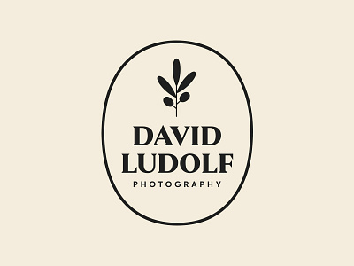 David Ludolf - Olive Photographer Brand brand identity leaf logo mark olive photographer plant