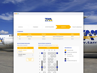 UI Web Check In aerolinea airline check in design desktop flight seats ui user experience web