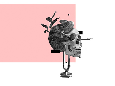 Craneoleon collage diseño editorial fotografía ilustración