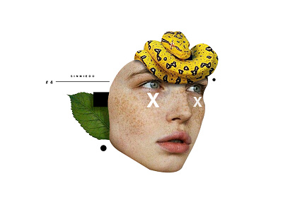 Belleza collage diseño editorial fotografía ilustración