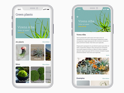 Plant shop concept interface ios iphone mobile plant shop ui ux x