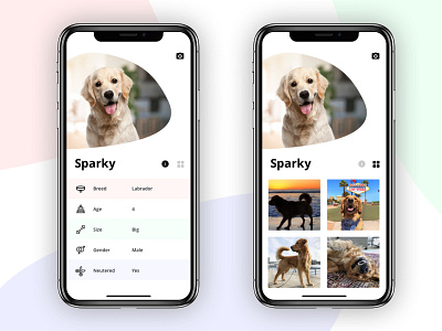 Your pet social life App app camara concept ios iphone x mobile pet photos social ui ux