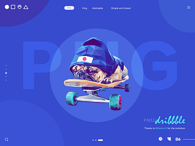 Fashion dog colour dog ui web