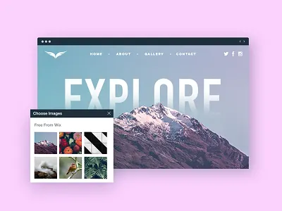 Travel Website explore mountain pink road travel trip