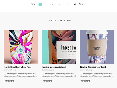 Blog Section blog photo gallery product design ui ux