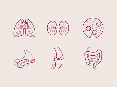 Medical Research Icons blood bowels diabetes heart inflammation kidneys lungs medical pancreas pulmonary renal sepsis