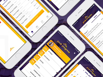 Peak Progress Mobile App app design mobile app ui design ui ux user interface