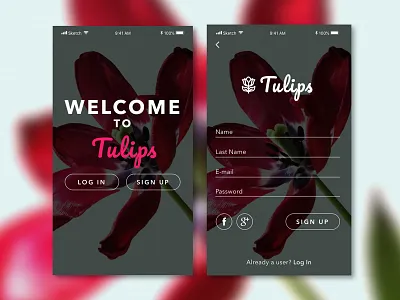 #001 Daily UI - Sign Up Page dailyui sign up ui
