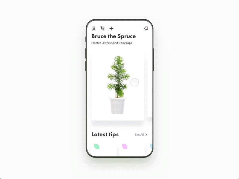 Plants & Cards 🌿 animation card detail flow ios minimal plant ui ux white