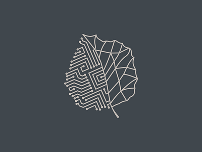 Artificial / Organic editorial illustration