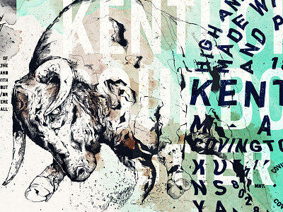 Stier beer cincinnati covington details illustration kentucky label photoshop wacom